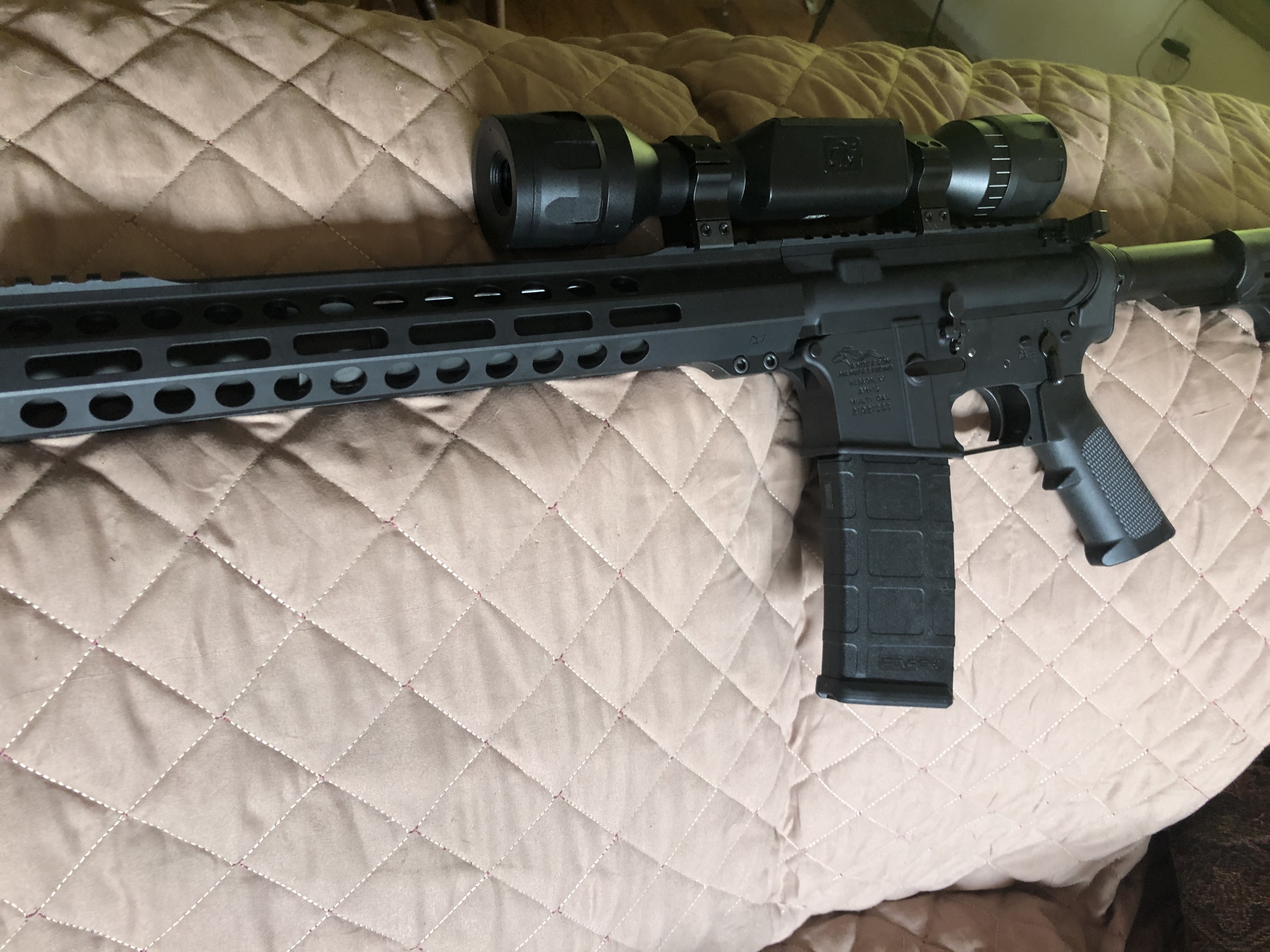AR 15